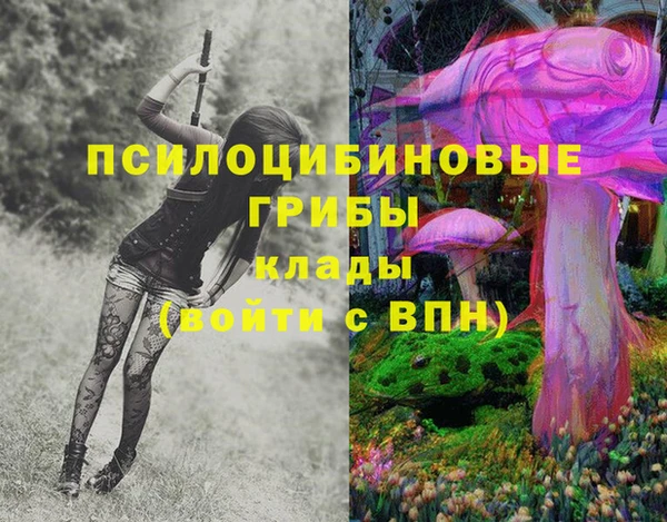марки lsd Белокуриха