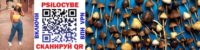 Галлюциногенные грибы MAGIC MUSHROOMS  цена наркотик  сайты даркнета наркотические препараты  Волхов 